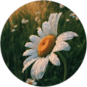 alma baustista profile picture